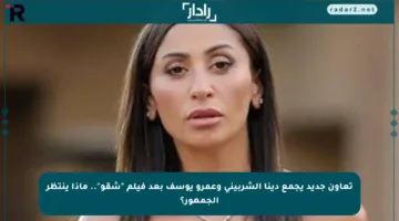 تعاون جديد يجمع دينا الشربيني وعمرو يوسف بعد فيلم “شقو”.. ماذا ينتظر الجمهور؟